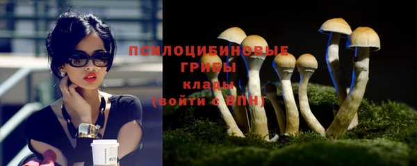 spice Алзамай