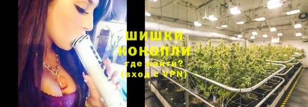 spice Алзамай