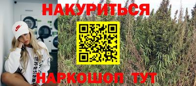 МДПВ Славгород